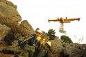 Ispanijoje gesindami miško gaisrą žuvo keturi ugniagesiai