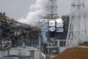 Fukušimos reaktorių išmontavimui gali prireikti 30 metų ir 12 mlrd. dolerių