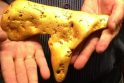 Tai bent lobis: australas rado net 5,5 kg svorio aukso grynuolį!
