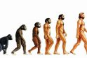 Evoliucija: 24 mitai ir klaidingi įsitikinimai