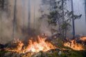 Miškuose – didelė gaisro tikimybė (papildyta)
