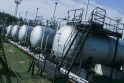 N.Udrėnas: pigesnių dujų Lietuva turės, kai bus alternatyva „Gazprom“