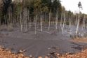 Kariotiškių sąvartyne į mišką pateko 2 tūkst. kubinių metrų dumblo