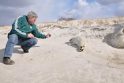 Jūrų muziejuje - kova dėl ruoniukų našlaičių gyvybės (foto)