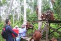 Unikali kryptis turistams – į Borneo džiungles pas B.Galdikas