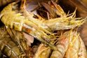 Mokslininkus neramina milžiniškos tigrinės krevetės