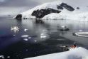 Plaukti į Antarktidą gali visi norintys