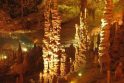 Gamtos stebuklai: fantasmagoriški stalaktitų dariniai Izraelyje