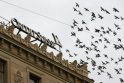 „Credit Suisse“ atleis tūkstančius darbuotojų