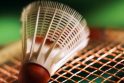 Lietuviai nori tarptautinio badmintono turnyro