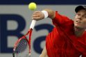 T.Berdychas laimėjo ATP turnyrą Prancūzijoje