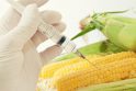 Dykai siūlomais kepiniais su GMO vilniečiai vaišintis neskubėjo  