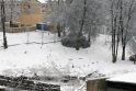 Sereikiškių parko rekonstruotojams šaltis – ne kliūtis dirbti?