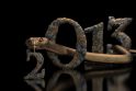 Kokie bus  2013-ieji – Gyvatės metai?   