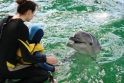 Už LNK žiūrovų pinigus gerinamos delfinų gyvenimo sąlygos
