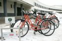 Vilniaus meras vėl svajoja apie oranžinius dviračius