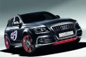 Monstras vardu „Audi Q5“
