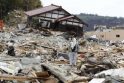 Visas pasaulis baiminasi naujos katastrofos bangos Japonijoje (radiacijos žemėlapis)