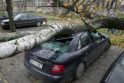 Audra Klaipėdoje: apgadinti 7 automobiliai