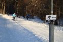 Vingio parke įrengtos lygumų slidinėjimo trasos