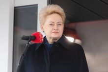 D. Grybauskaitė: turime taikaus gyvenimo biudžetą daryti gynybos biudžetu