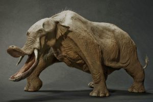 Platibelodonai: priešistoriniai keturilčiai „kastuvasnukiai“ drambliai