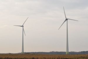 Kelmės rajone sugadintas elektros kabelis vėjo jėgainėms: žala – 100 tūkst. eurų