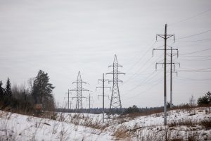 Energetikos viceministrė: elektros tiekėjai turėtų kuo greičiau reaguoti į pokyčius biržoje