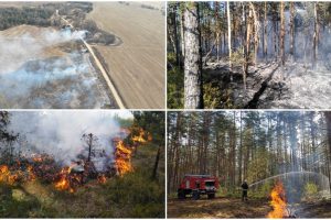Pavasariniams gaisrams užkardyti – prevenciniai miškininkų reidai ir patarimai