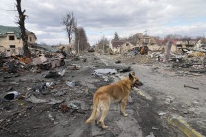 Ekspertai apie žudynes Bučoje: daryti išvadas, kad teisiškai tai yra genocidas, gali būti sudėtinga