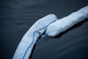 Trakų rajone, ežere, surinkti į vandenį išsilieję teršalai