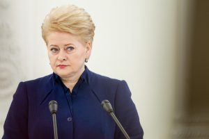 D. Grybauskaitė: ne karo metas, mokesčių keisti nereikia