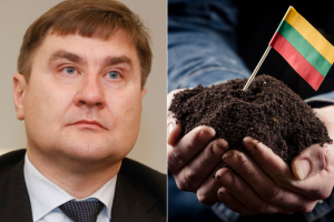 NŽT vadovas: žemės grąžinimo procesas eina į pabaigą, išskyrus Vilniuje