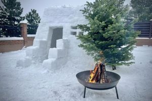 Kalotiškis kaimynus pakvietė į sniego namus