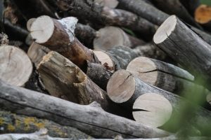 Vyriausybė pritarė siūlymui dalį mokesčių už medieną skirti savivaldybių keliams