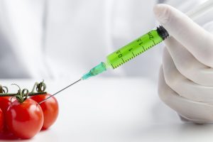 Tyrėjai ragina pertvarkyti ES reikalavimus dėl GMO, ekologai priešinasi