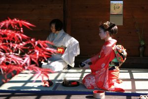 Alytuje prasideda japonų kultūros ir sakurų žydėjimo šventė