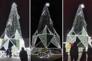 Panevėžyje – netikėtumai su Kalėdų egle