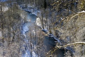 Lietuvoje siekiama steigti dvylika naujų draustinių