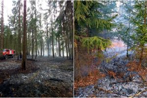 Ugniagesiai ir miškininkai savaitgalį gesino tris didelius miškų ir pievų gaisrus