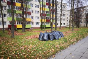 Klaipėdos savivaldybė primena: netinkamose vietose palikti maišai su lapais surenkami nebus