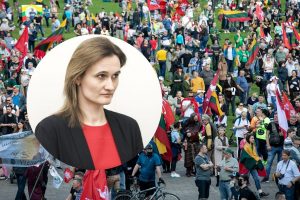 V. Čmilytė-Nielsen: mitingo iniciatoriams subūrus tūkstantinę minią, verta pagalvoti apie kitą vietą