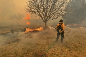 Teksase ugniagesiai kovoja su vienu didžiausių visų laikų gamtinių gaisrų 