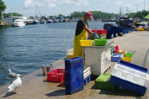 Nesibaigiantys menkių žvejybos draudimai