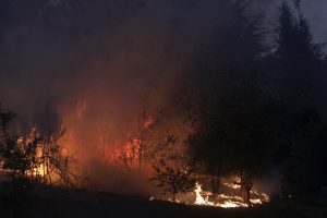Portugalija: gaisrai išdegino daugiau nei 100 tūkst. ha plotą