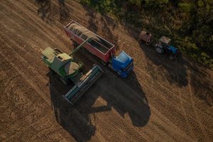 Kyjivas ragina ES paremti iniciatyvą, kad grūdų koridorius veiktų visu pajėgumu