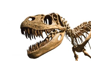 Dinozaurai irgi sirgdavo vėžiu, nustatė mokslininkai