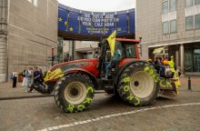 Likus kelioms dienoms iki EP rinkimų į Briuselį vėl suvažiavo protestuojantys ūkininkai