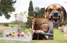 Siaubas: 90-metę kapinėse mirtinai sudraskė šuo